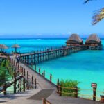 Zanzibar Investment News