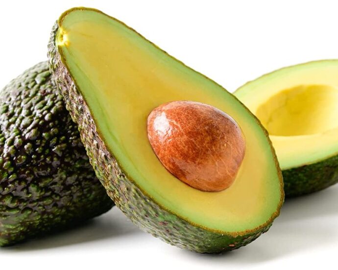 Tanzania’s avocados fetch Sh10, thousand apiece in Belgium