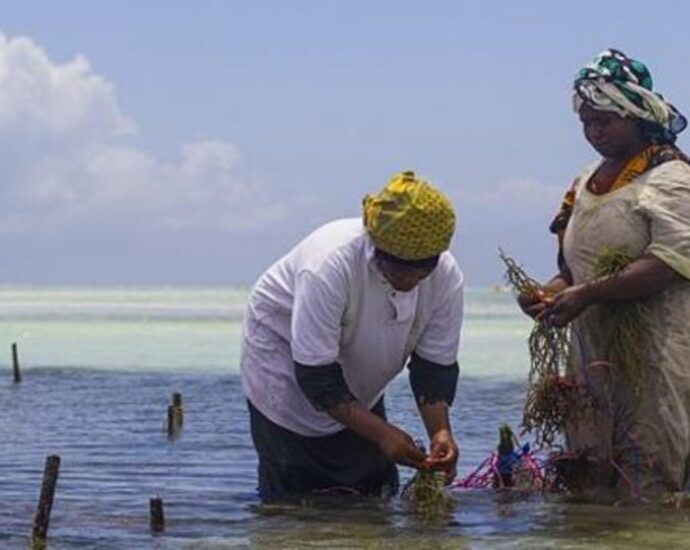 Sh3. 2 trillion invested in Zanzibar’s Blue economy so far