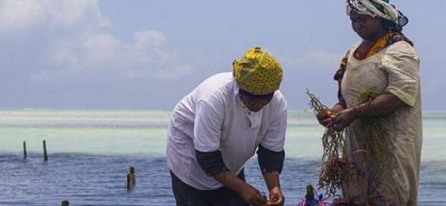 Sh3. 2 trillion invested in Zanzibar’s Blue economy so far