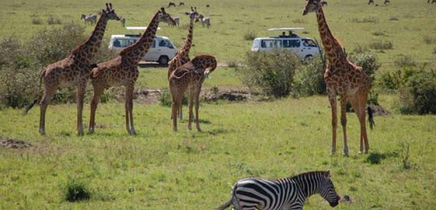 East Africa: Is East Africa Making Strides in the Tourism Promotion Front?