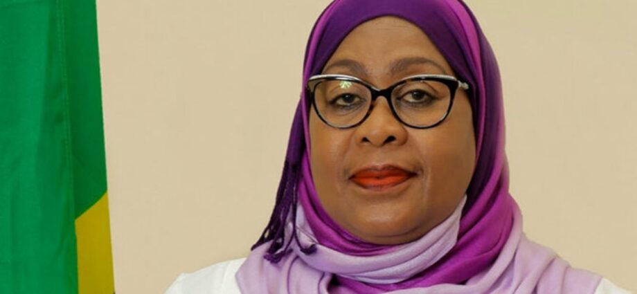 Tanzania President Samia Orders Probe On Shoddy Projects