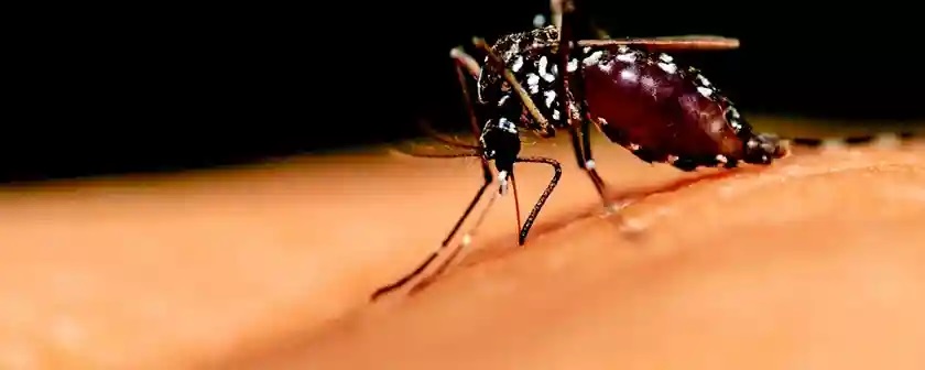 Zero Malaria in Zanzibar By 2027, Realistic?