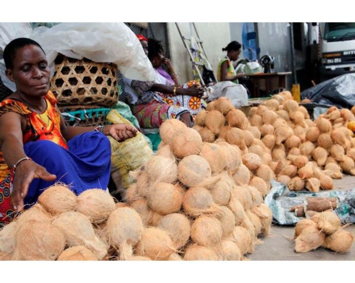 Coconut prices hit the roof in Zanzibar