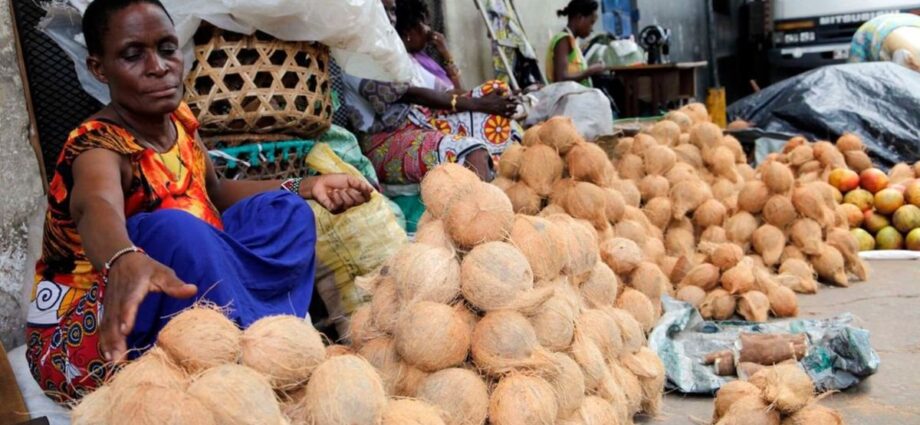 Coconut prices hit the roof in Zanzibar