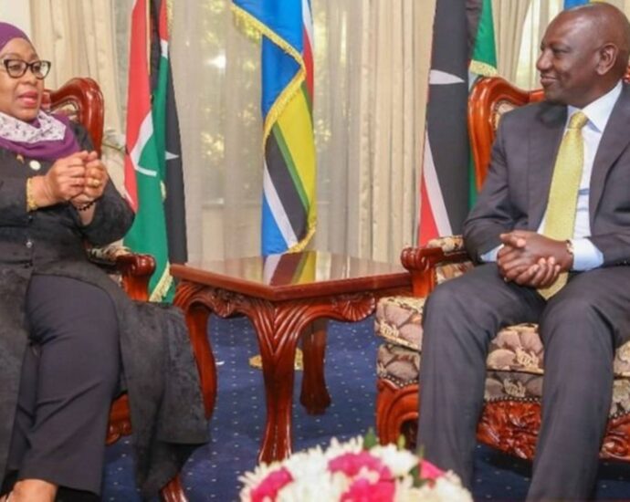 Ruto’s visit to solidify Tanzania, Kenya ties