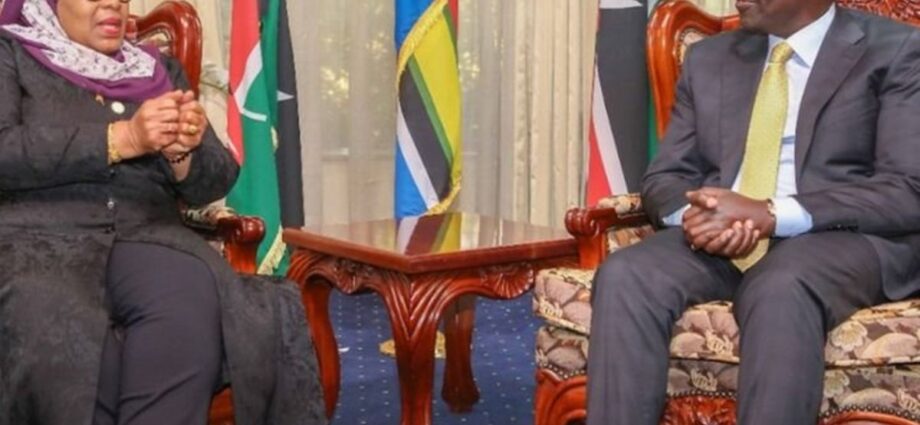 Ruto’s visit to solidify Tanzania, Kenya ties