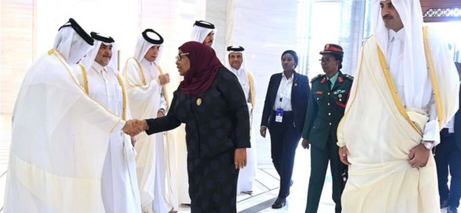 Tanzania, Qatar sign deals on infrastructure and energy