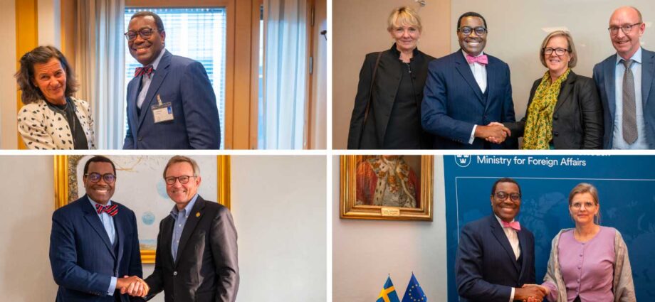 Sweden reassures AfDB President of continued strong support for Africa