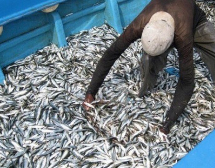 Govt Injects Over 60bn/ – to Modernise Fisheries