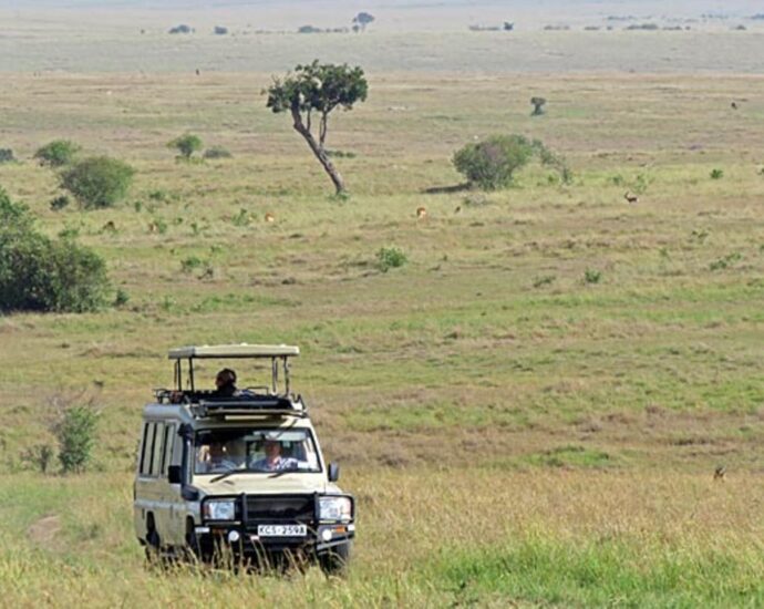 Tanzania slashes park fees to attract East African tourists