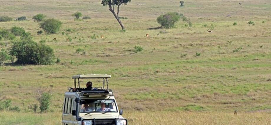 Tanzania slashes park fees to attract East African tourists