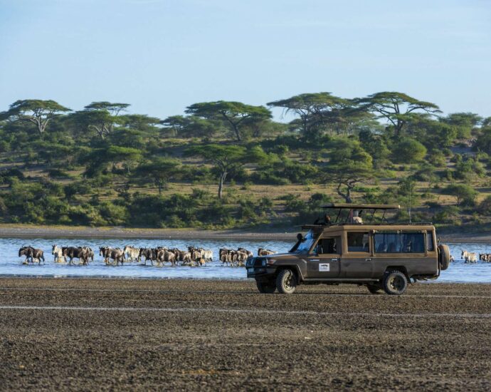 Tanzania slashes park fees to woo EA tourists