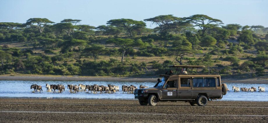 Tanzania slashes park fees to woo EA tourists