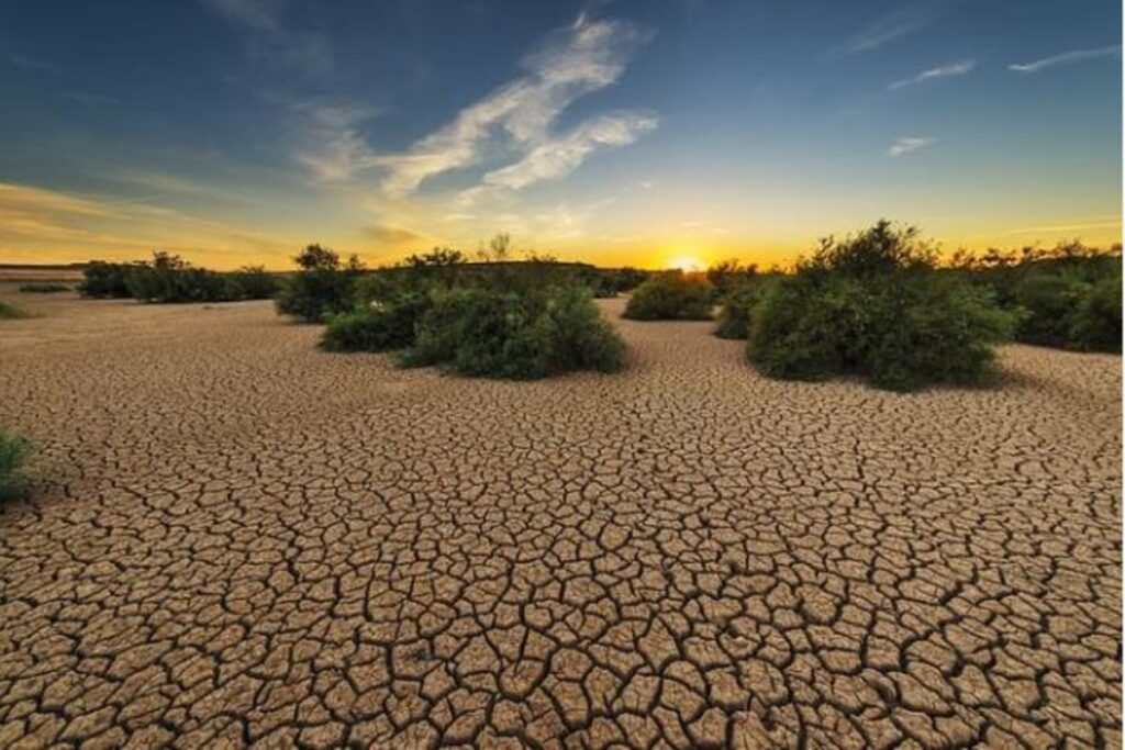 Africa must rethink climate change plan