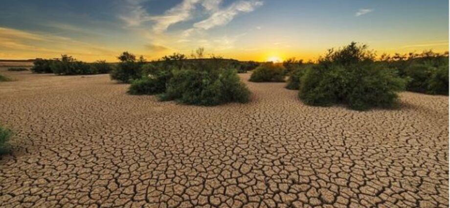 Africa must rethink climate change plan