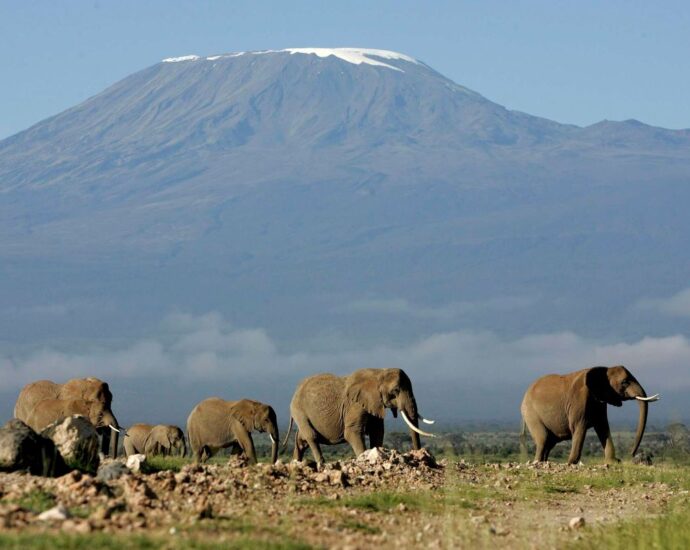 Tanzania: African mountains feeling climate change