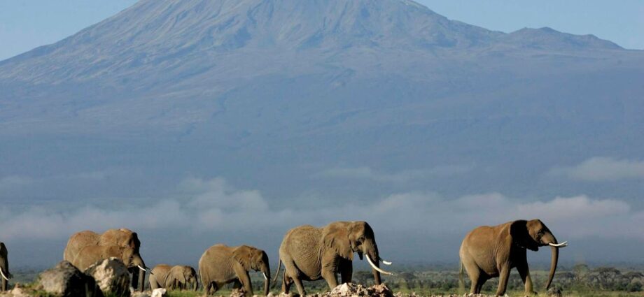 Tanzania: African mountains feeling climate change