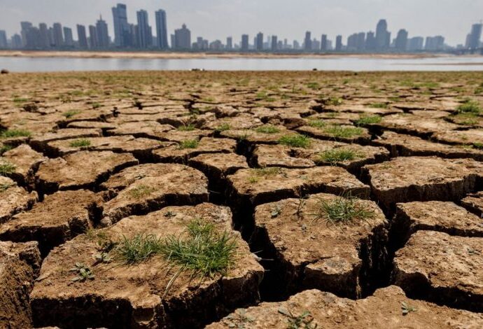 Zanzibar Academics and Stakeholders Call for More Research into Climate Change