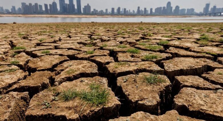 Zanzibar Academics and Stakeholders Call for More Research into Climate Change