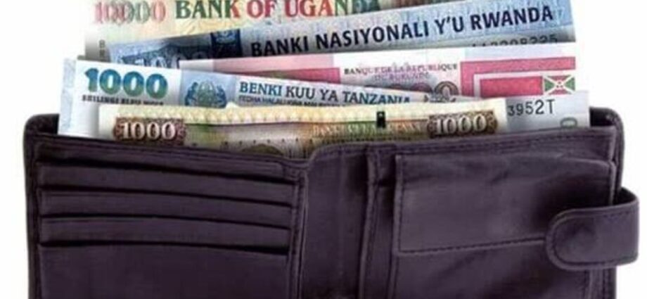 East Africa: Don’t rush into a monetary union