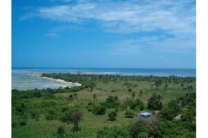 Muslims in Pemba conduct special prayer against ZAA decision