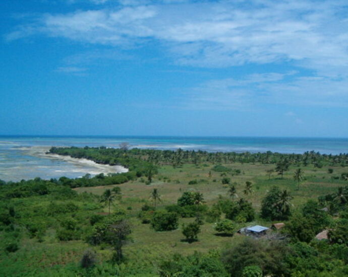 Muslims in Pemba conduct special prayer against ZAA decision