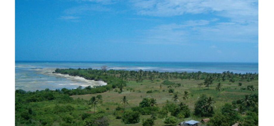 Muslims in Pemba conduct special prayer against ZAA decision