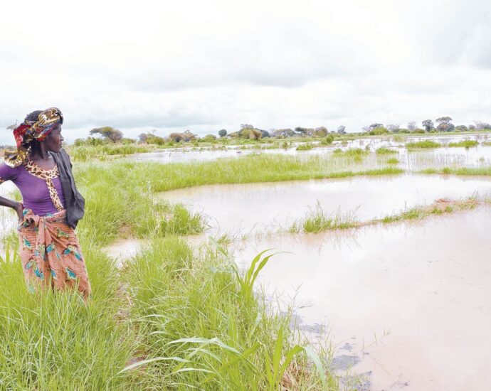 The ‘African COP’: Opportunity to deliver for the continent’s women and girls