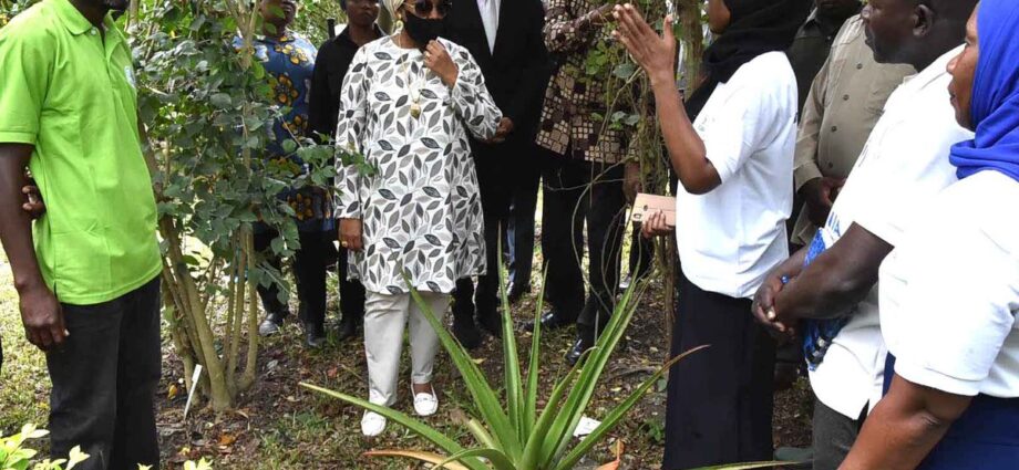 Zanzibar unveils plan to protect historical garden