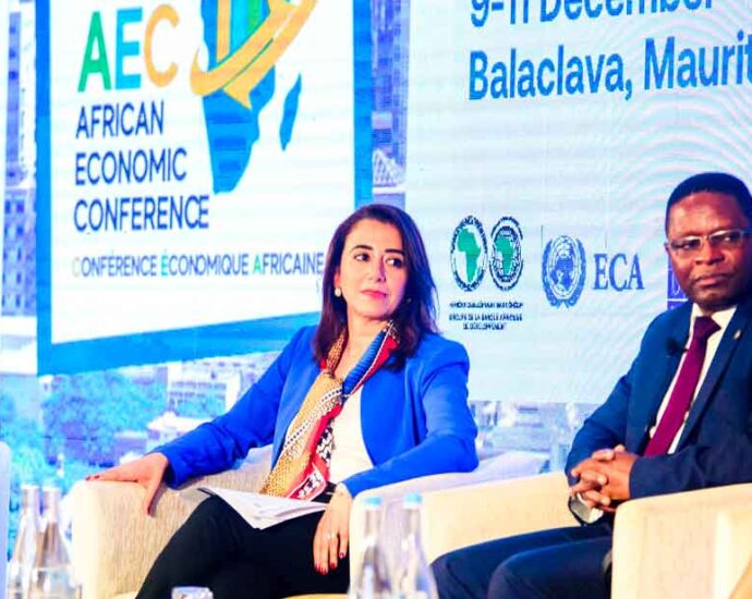 African Economic Community 2022: Affordable energy in Africa is key