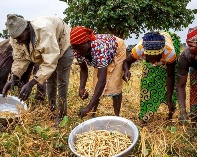 Agroecology answers why Africa cannot feed its people