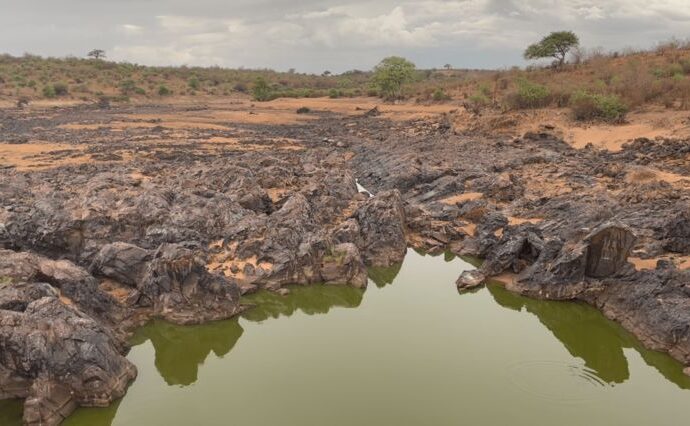 Leaders in Tanzania linked to destruction of the environment