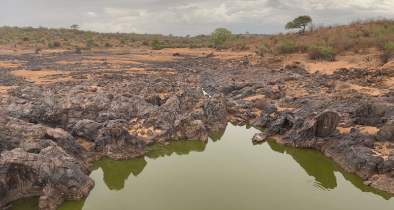 Leaders in Tanzania linked to destruction of the environment