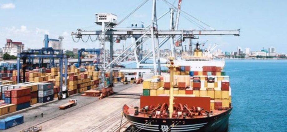 Africa’s ports ‘development’ opportunity for plunder?