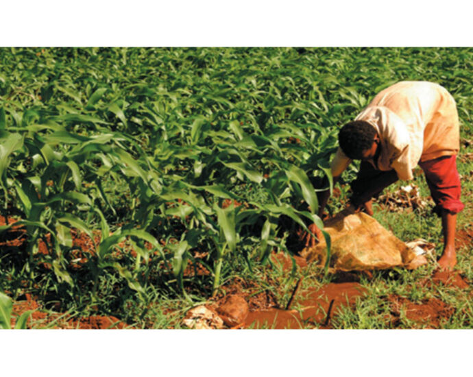 Agroecology to tackle climate change