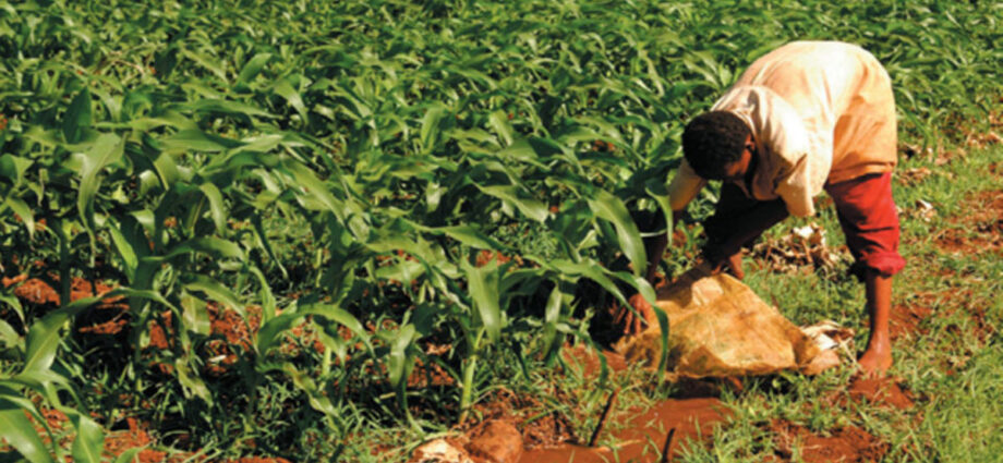 Agroecology to tackle climate change