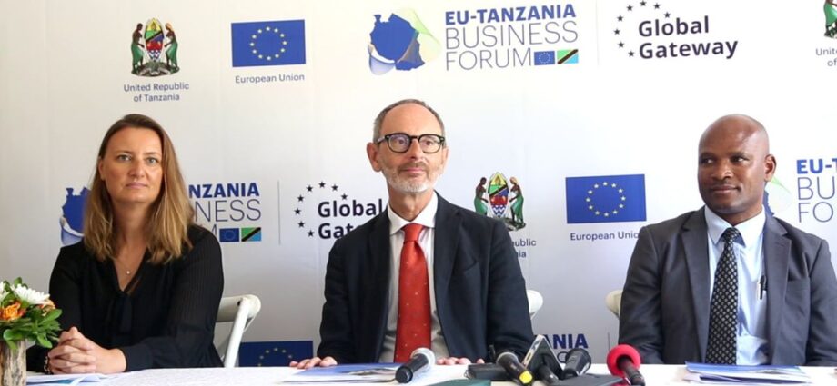 Time to notch up Tanzania-EU investment ties