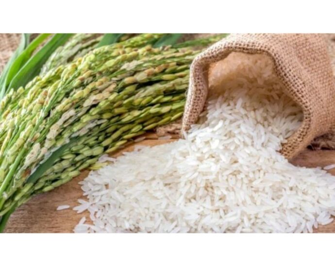 Cereals board expects Sh26 billion from rice sale 