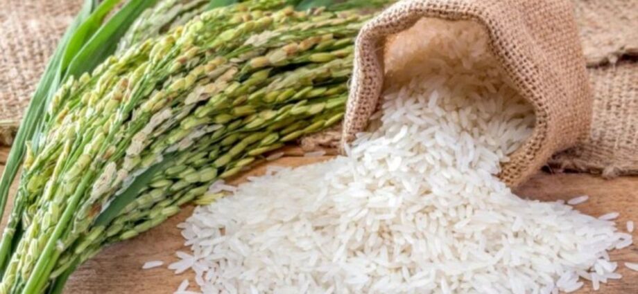 Cereals board expects Sh26 billion from rice sale 