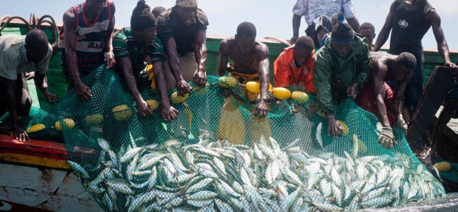 Improving fisherman and GDP through blue economy