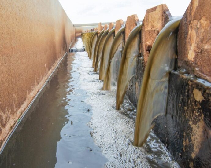 Tanzania to Develop First Waste Water Treatment Plant