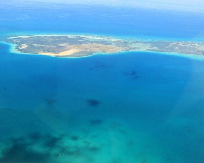 Zanzibar partnership in aquatic life study