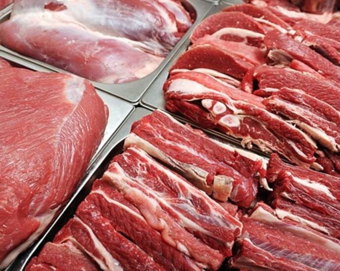 Tanzania’s meat export, revenue soars in 2023