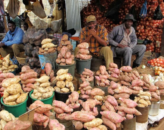 Morogoro: Sleeping giant that can feed the rest of Africa