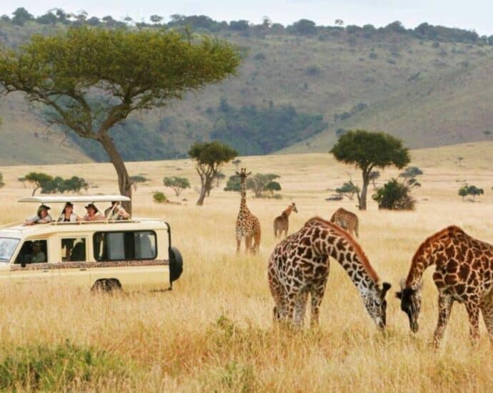 360° marketing to brand Tanzania globally for tourism takeover