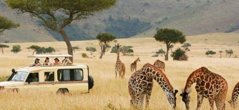 360° marketing to brand Tanzania globally for tourism takeover