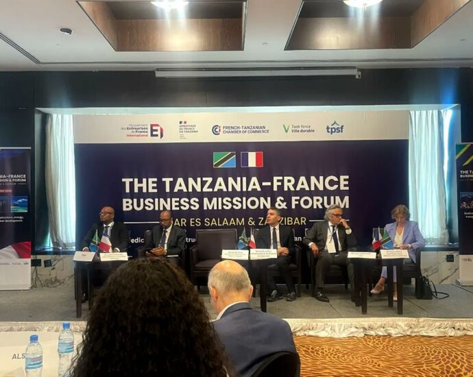 French companies in Tanzania for investment mission