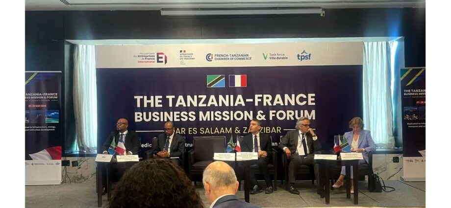 French companies in Tanzania for investment mission