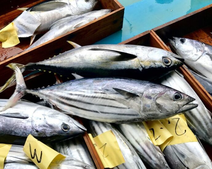 New agreement set to boost Tanzania’s fish exports to the US